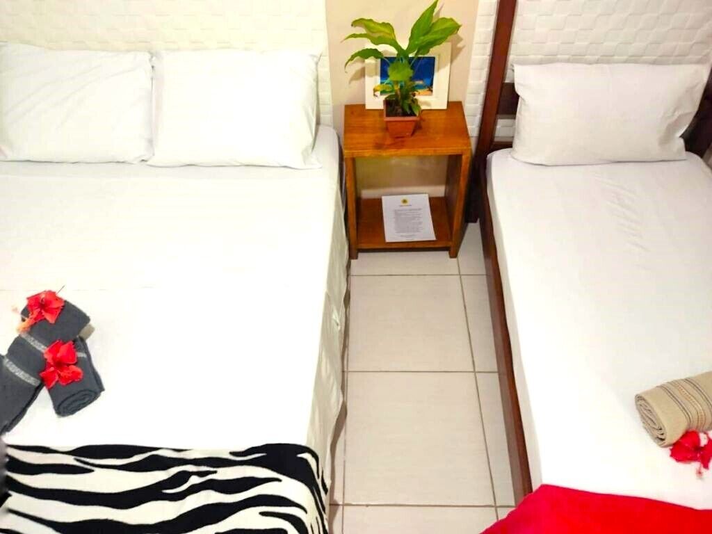 Una habitación pequeña y limpia con dos camas, una mesita de noche con una planta y una pared blanca.