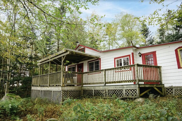 Une cabane en bois dotée d’un porche, entourée d’une forêt dense.
