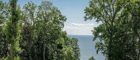 A park with a bench and a view of the water.