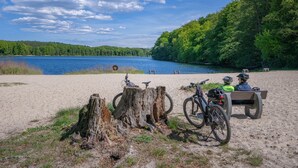 Une plage de sable avec des vélos et un banc, donnant sur un lac bordé d’arbres et sous un ciel dégagé.