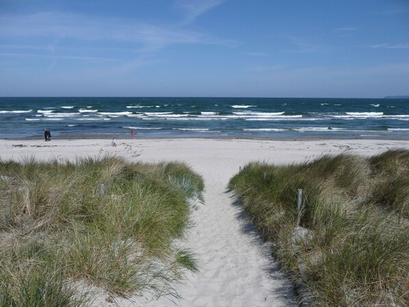 Ein sandiger Küstenpfad führt zum Meer, begleitet von grasbewachsenen Dünen links und rechts.