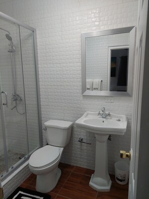 A bathroom with a glass-enclosed shower, a white toilet, and a pedestal sink.