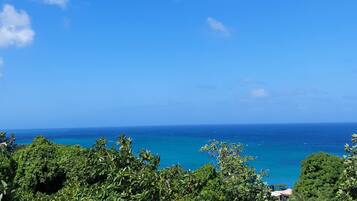 Beach/ocean view