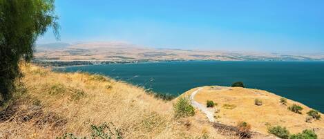 A coastal landscape with a clear view of the sea and distant hills.