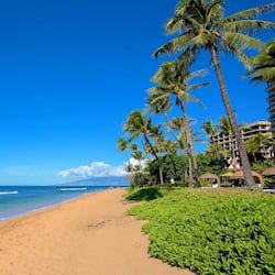 Plage, chaises longues, serviettes de plage