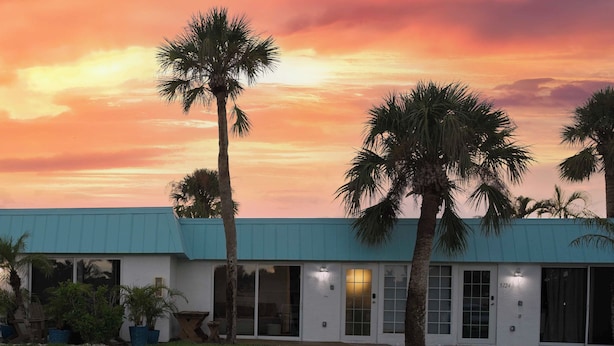 A building with a flat roof, large windows, and palm trees in the foreground. - Siesta Key Village • Pool • Walk to Beach • Pets (Sarasota)
