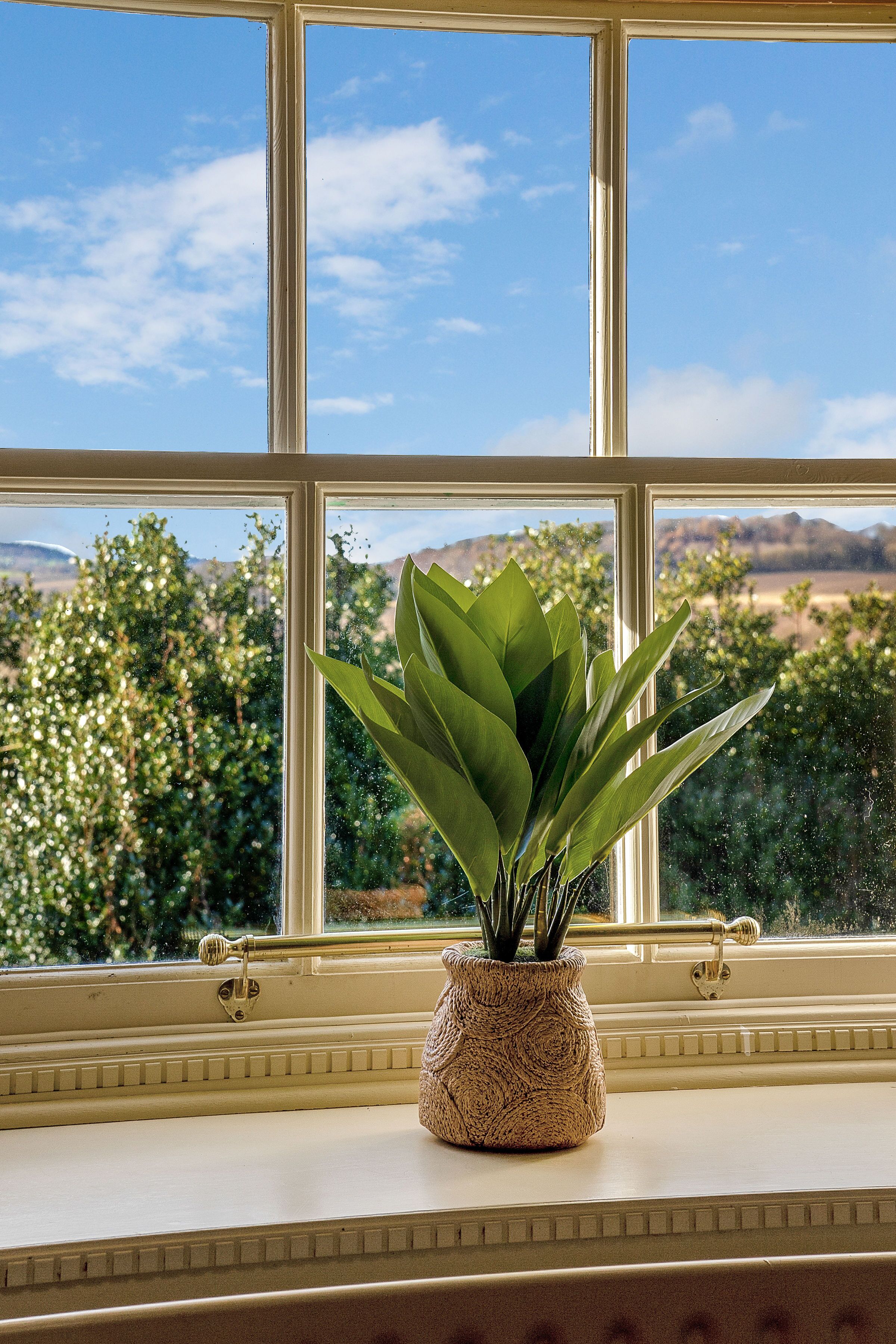 Une fenêtre donnant sur un paysage, un pot de fleurs posé sur le rebord de la fenêtre et un verrou décoratif pour la fenêtre.