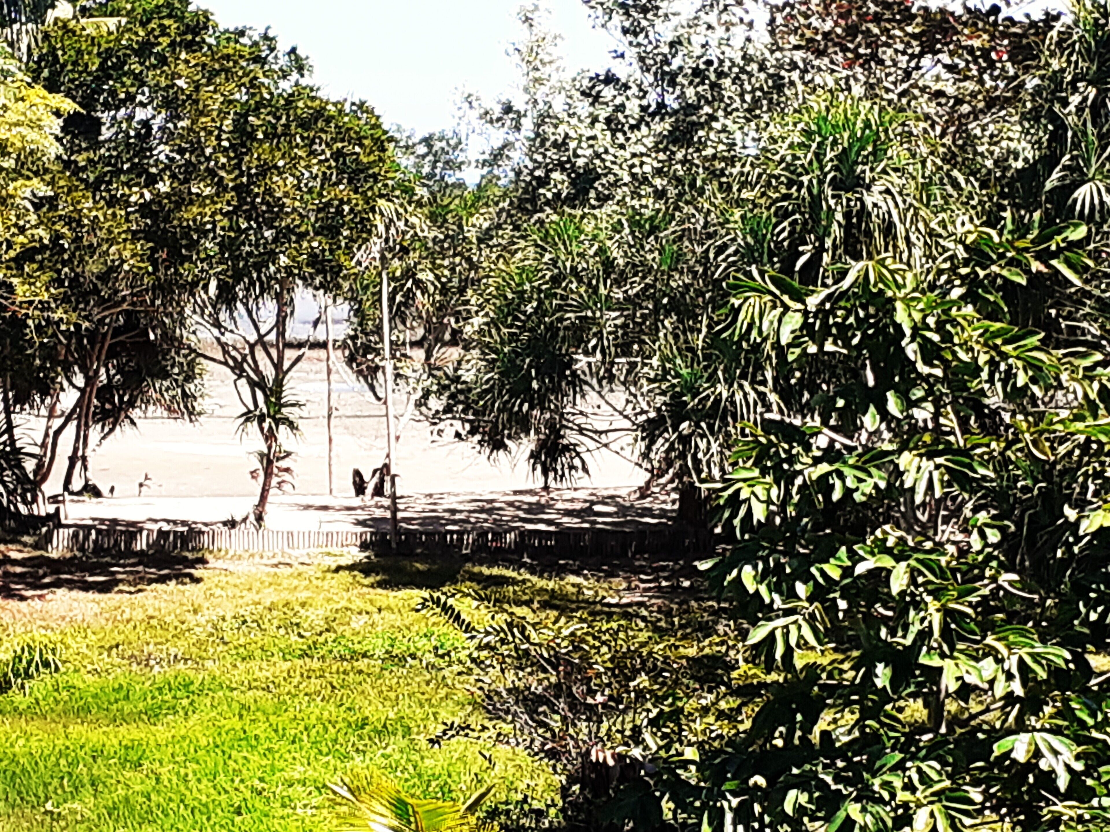 Family Room | Terrace/patio