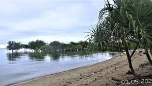 A beach with a sandy shore, calm water, and trees in the background. - The Lazy Tiki (Buenavista)