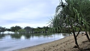 Ein Strand mit Sandküste, ruhigem Wasser und Bäumen im Hintergrund.