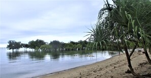 Een strand met een zandstrand, kalm water en bomen op de achtergrond.