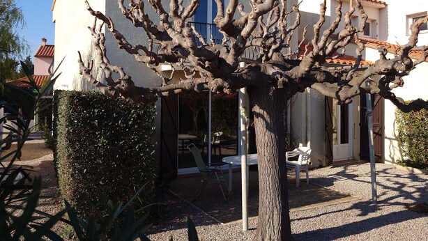 Ein Baum mit kahlen Ästen vor einem Gebäude mit einem Ziegeldach und einer Satellitenschüssel.