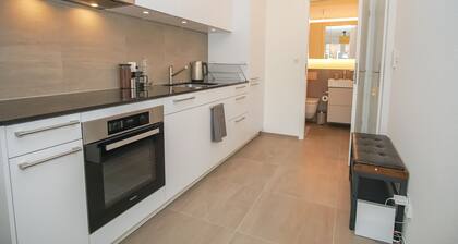 Stylish apartment with free BaselCard