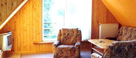 TV connectée, cheminée, lecteur de DVD