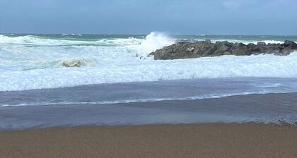 Summerhouse near the limfjord and The Western Sea