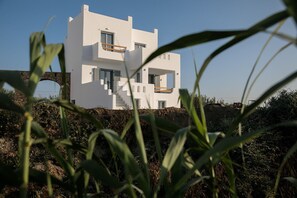 Exterior - Villa Aura - 4 Bedrooms Villa with Private Pool in Naxos (Naxos)