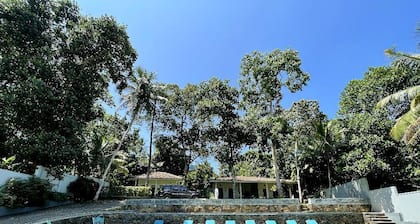 Vibration Villas