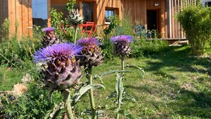 Una cabaña de madera con techo curvo, un porche y un jardín con flores moradas.