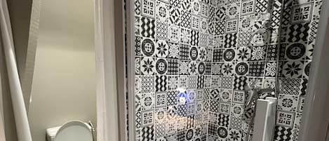 Shower, towels, toilet paper