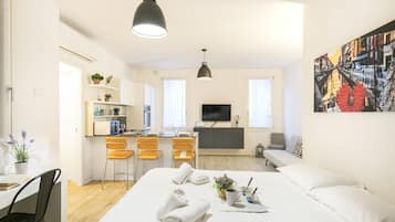 1 slaapkamer, een strijkplank/strijkijzer, wifi, beddengoed