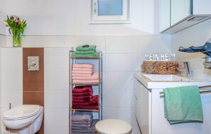 Shower, hair dryer