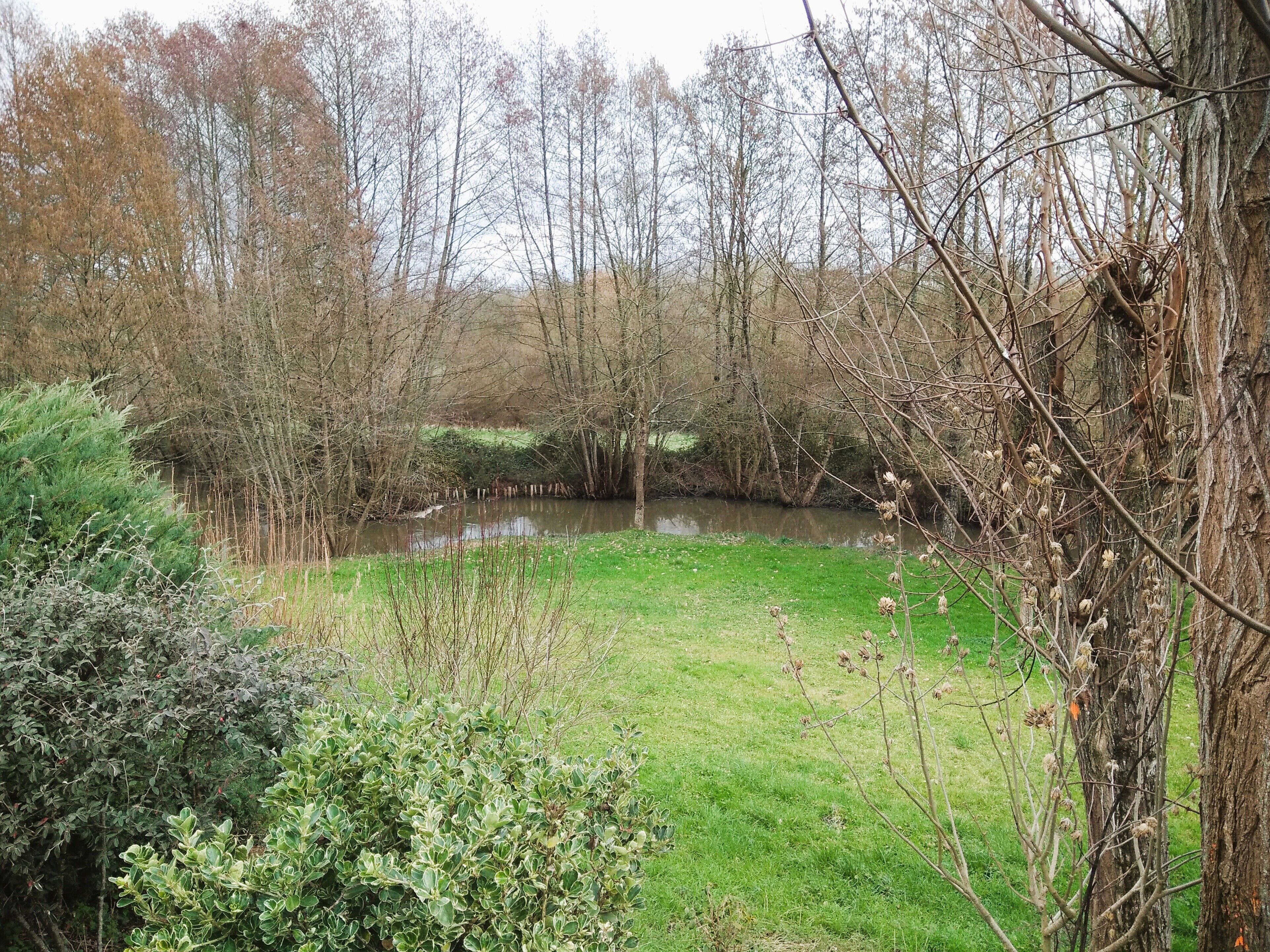 Una vista tranquila junto al río, con un área verde, árboles y un estanque.