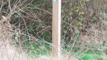 A wooden signpost with directional arrows and symbols, surrounded by dense shrubbery.