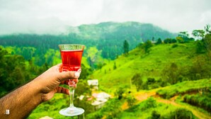 Una mano sostiene un vaso con líquido rojo frente a colinas verdes exuberantes y un cielo nublado.