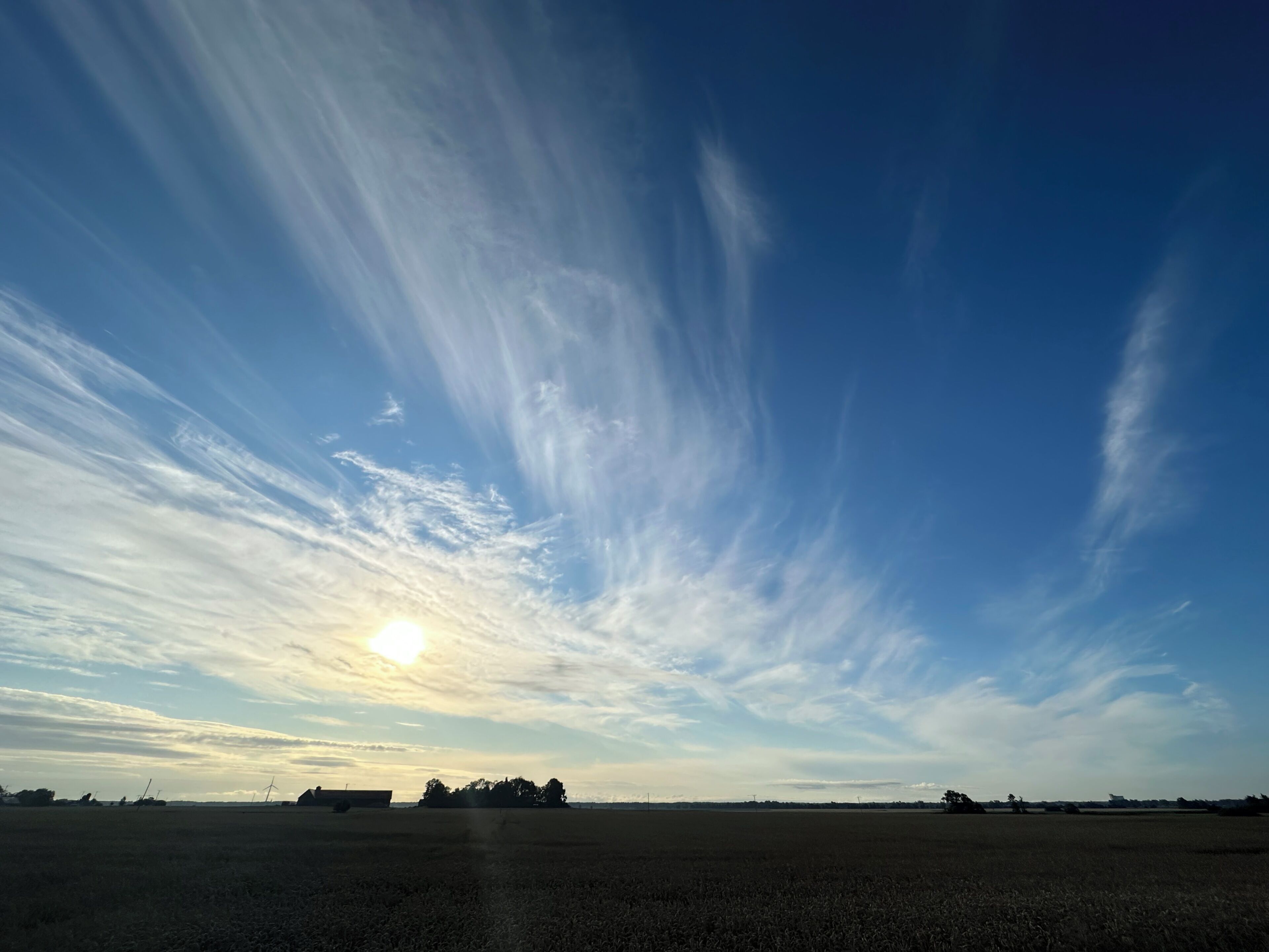 A wide-open field with a clear sky and distant trees.