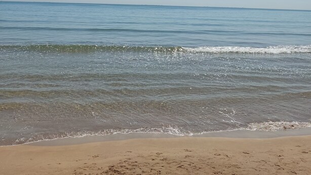 Una playa con cielos despejados y agua tranquila.