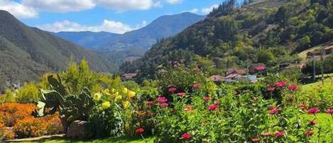 Un jardín con flores y un paisaje montañoso al fondo.
