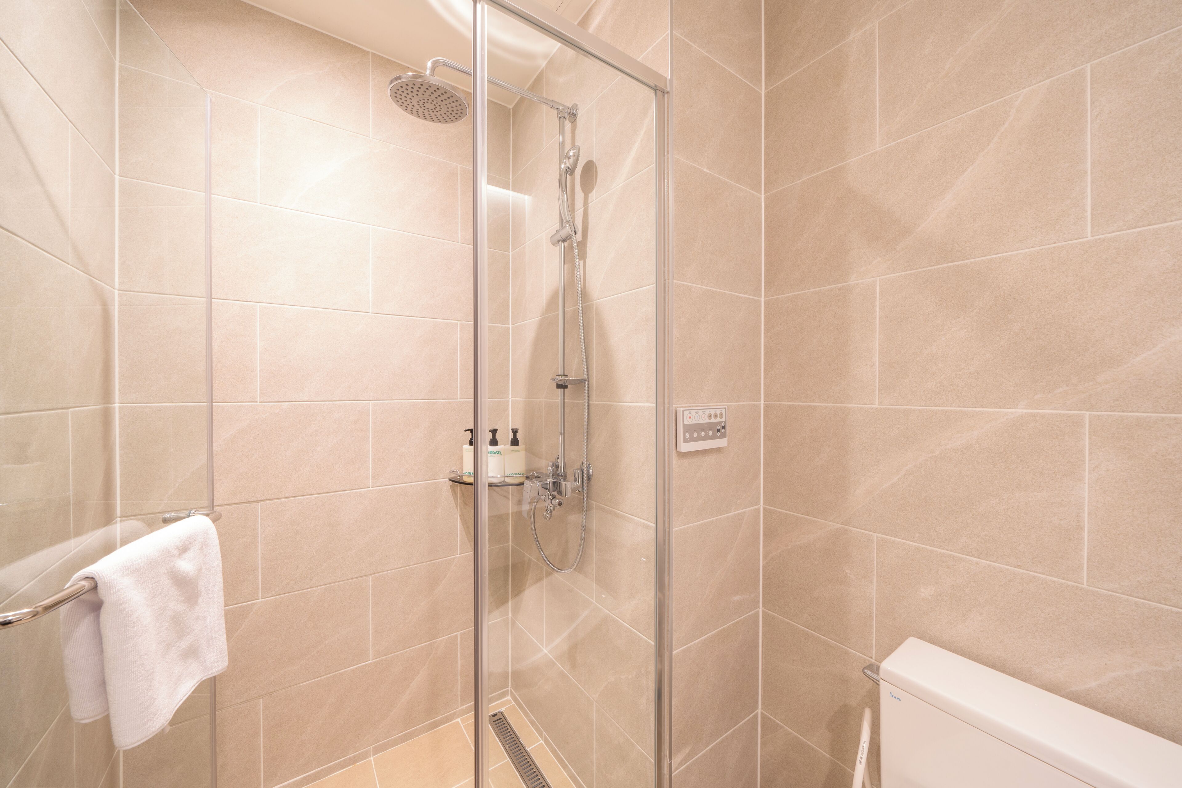 Een douche met glazen deur, een toilet en een handdoekhouder.