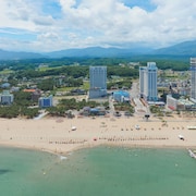 체스터톤스 낙산