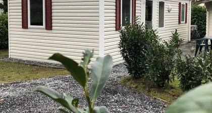 Cozy cottage in the woods of Epe with bicycles