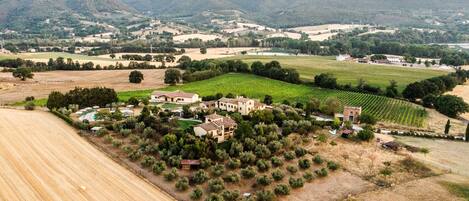 A rural estate with a large house surrounded by vineyards and fields.