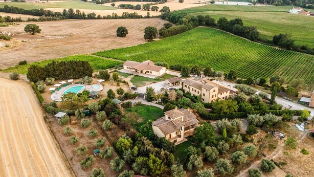 An aerial view of a property with a swimming pool, multiple buildings, and surrounding vineyards. - Agriturismo Regno Verde (Narni)