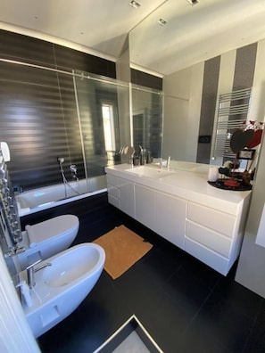 Shower, hair dryer, bidet, towels