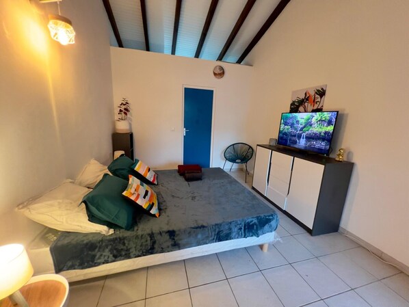 Une petite pièce comprenant un lit, un téléviseur posé sur un meuble, un petit placard et une porte.