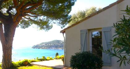 Villa Le Pin*** , vue à 180° sur la baie de Villefranche