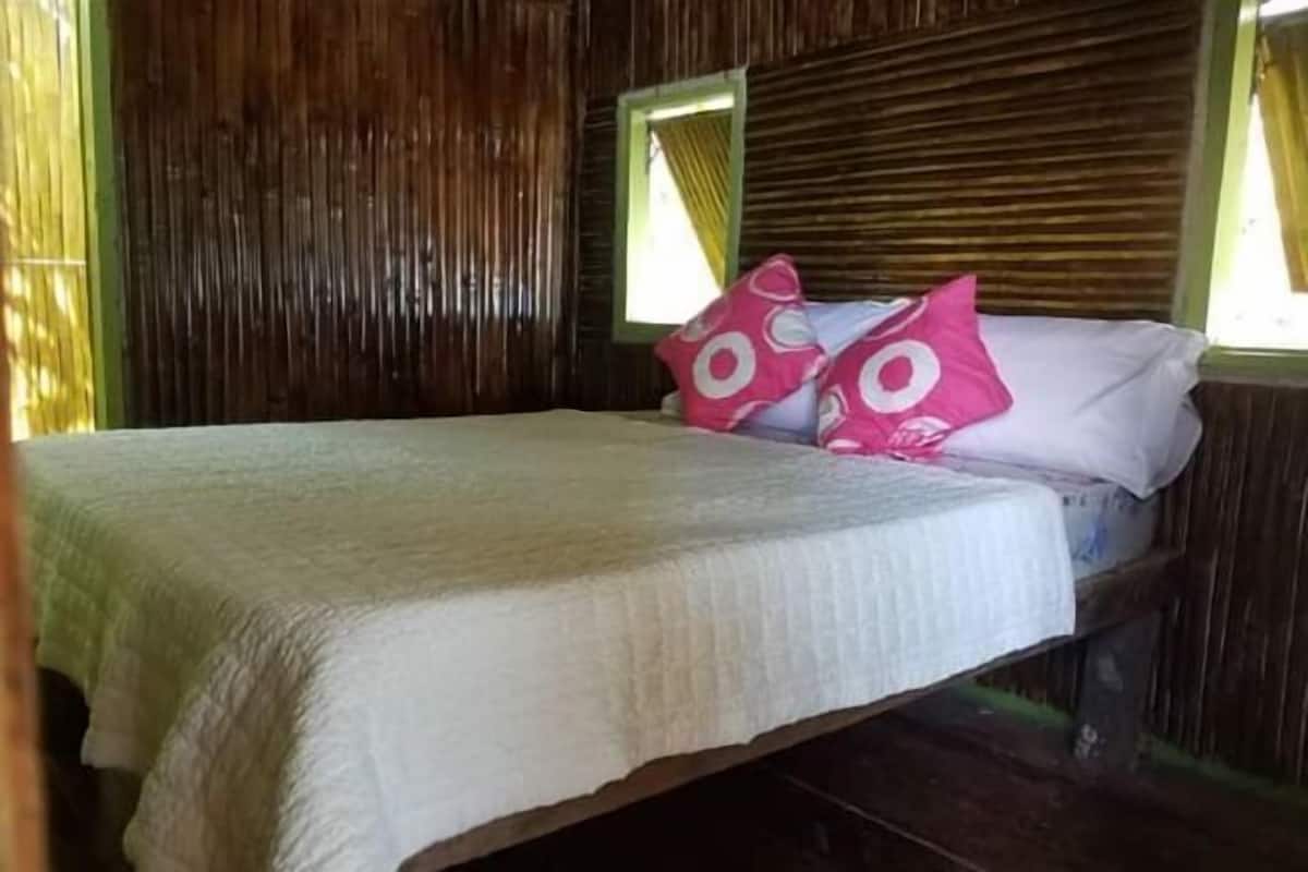 1 habitación, decoración personalizada y muebles diferentes