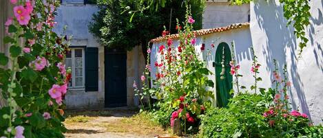 A narrow alley with a white building, a green door, and pink flowers.