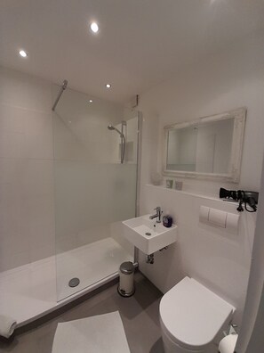 Dusch, hårtork, tvål och toalettpapper