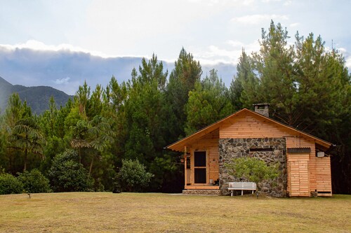 Boutique Cabin with Panoramic View

