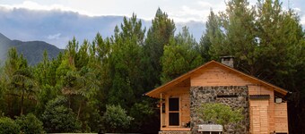 Boutique Cabin with Panoramic View

