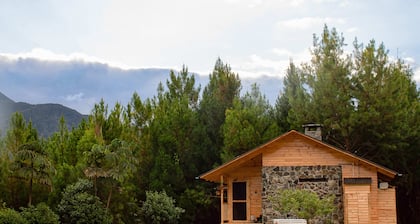 Boutique Cabin with Panoramic View