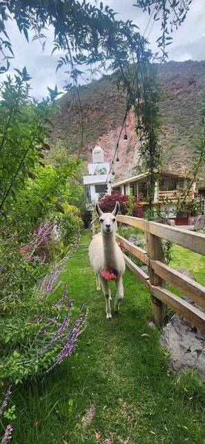 Voorkant van accommodatie