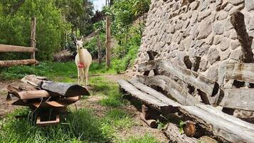 Deluxe-suite | Terrasse/gårdhave