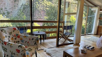 Deluxe Suite | Living area