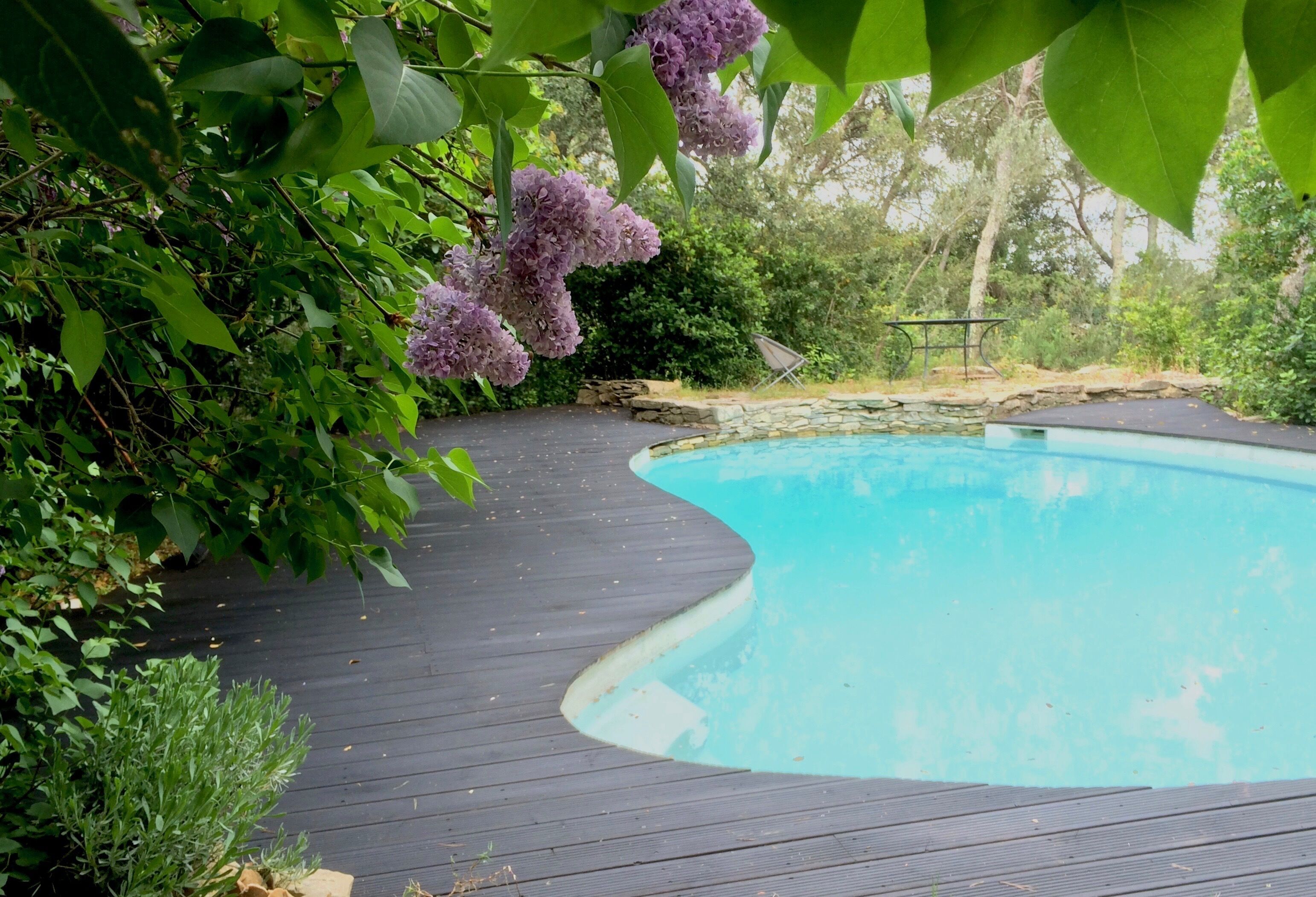 A swimming pool with a wooden deck, surrounded by lush greenery and purple flowers.