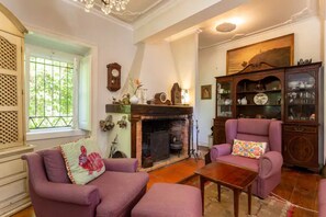 Smart TV, fireplace, books